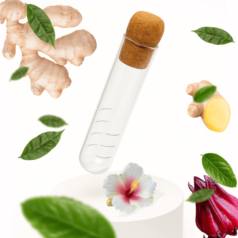 Edles Teesieb aus Glas mit Korkenverschluss - Bio Guayusa Tee kaufen - GUYA Guayusa Online Shop