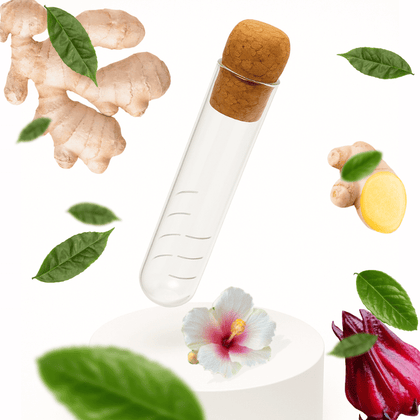 Edles Teesieb aus Glas mit Korkenverschluss - Bio Guayusa Tee kaufen - GUYA Guayusa Online Shop