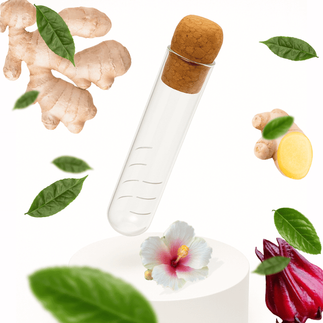Elegancki szklany zaparzacz z korkiem — kup ekologiczną herbatę guayusa — sklep internetowy GUYA Guayusa
