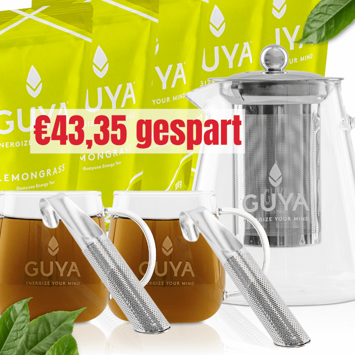 2x Teesieb + 2x Cup + 5x TEE + 1x Teapot- Bundle XL - GUYA - Guayusa GmbH
