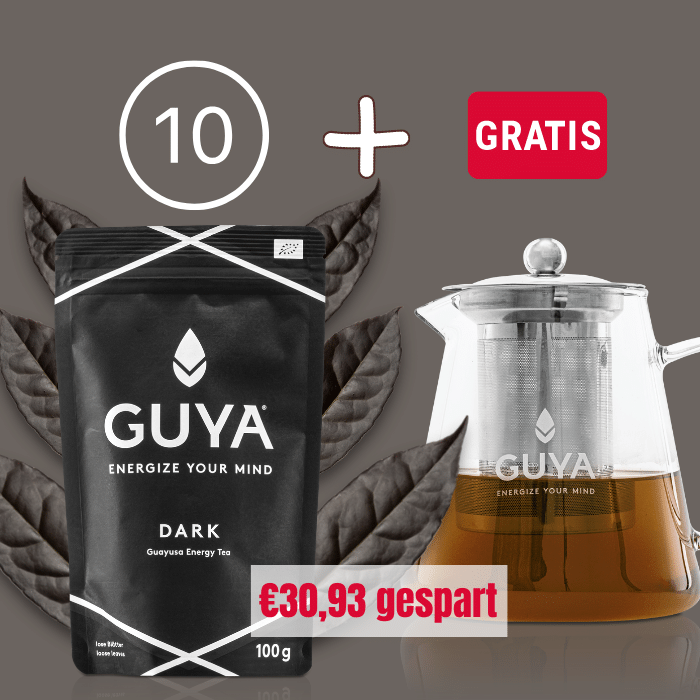 Herbst-Set 10x DARK + gratis Teapot - GUYA - Guayusa GmbH