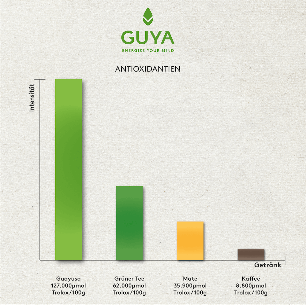 Vergleich Guayusa VS Grüntee Kaffee Mate