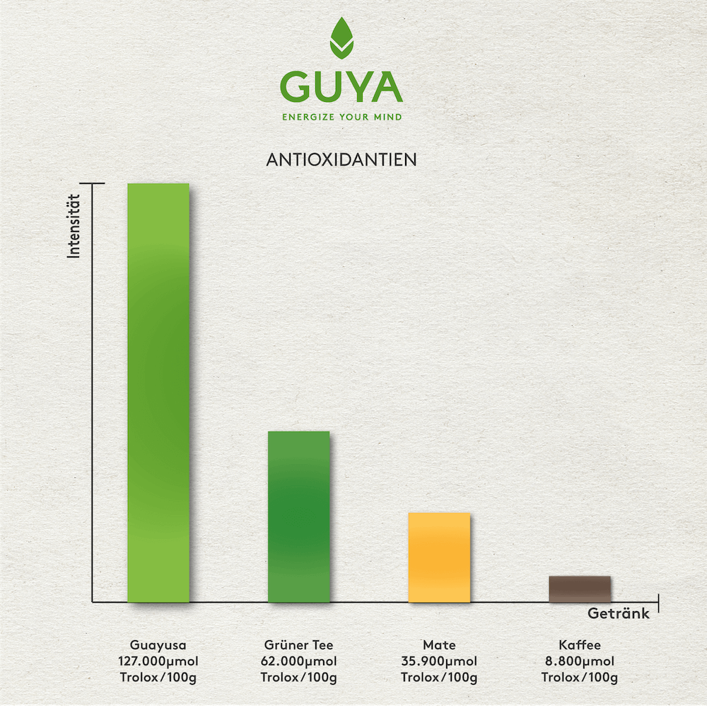 Vergleich Antioxidantien Kaffee Grüntee Guayusa