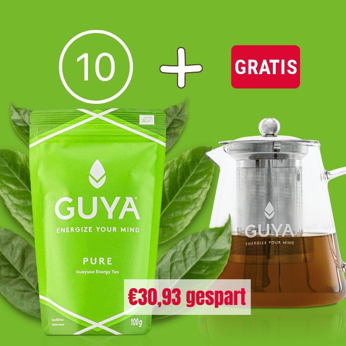 Herbst-Set 10x PURE + gratis Teapot - GUYA - Guayusa GmbH
