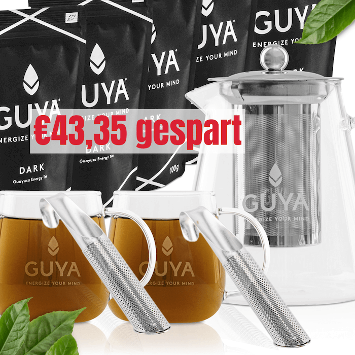 2x Teesieb + 2x Cup + 5x TEE + 1x Teapot- Bundle XL - GUYA - Guayusa GmbH