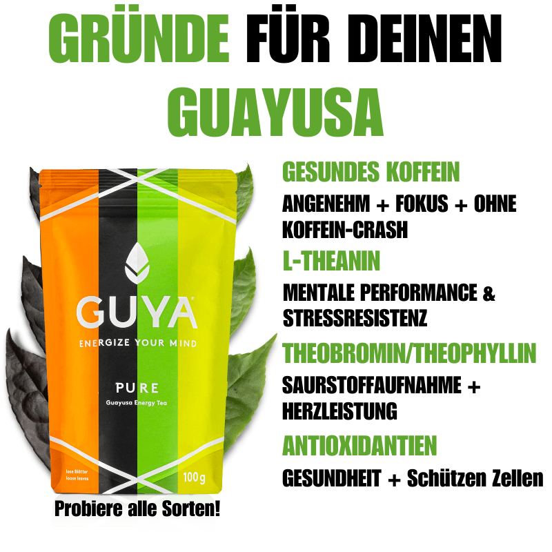 Probierset - Alle Guayusa Tees + Teesieb - GUYA - Guayusa GmbH