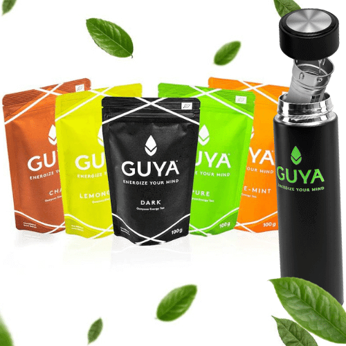 Guayusa tee kaufen mit Thermoskanne