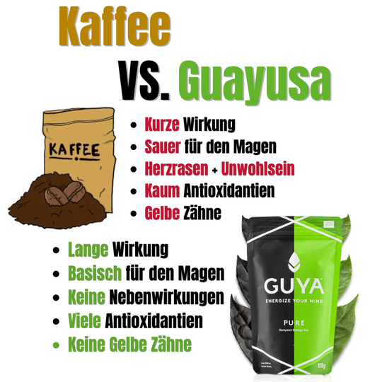 Guayusa VS Kaffee Vergleich
