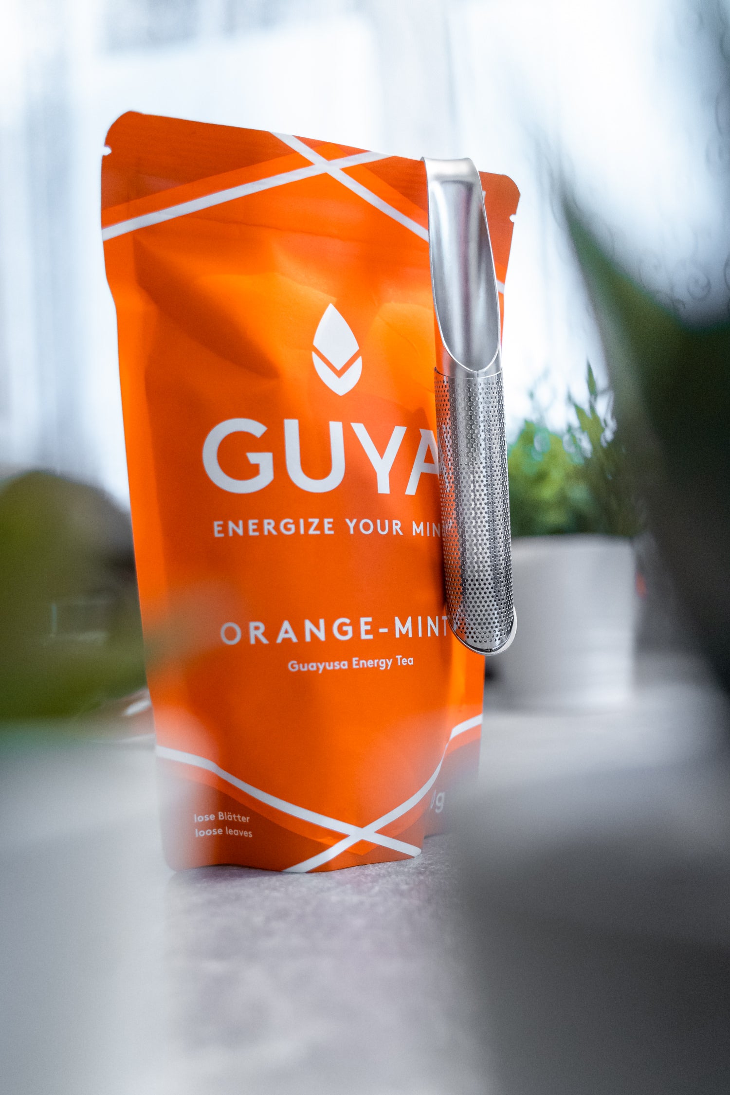 Guayusa Tee mit Teefilter