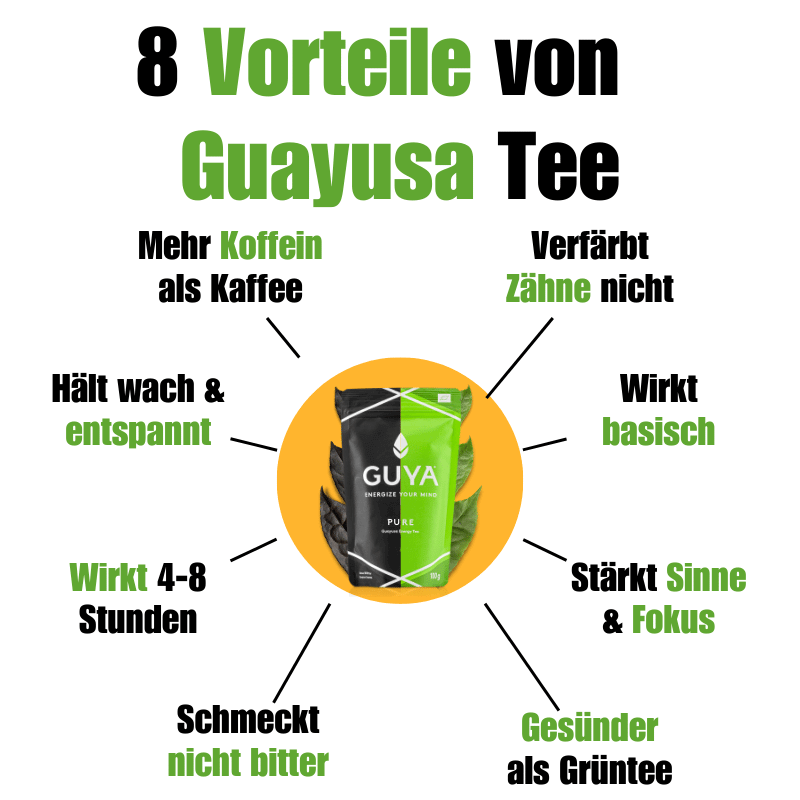 Probierset - Alle Guayusa Tees + BOTTLE Thermoskanne - GUYA - Guayusa GmbH