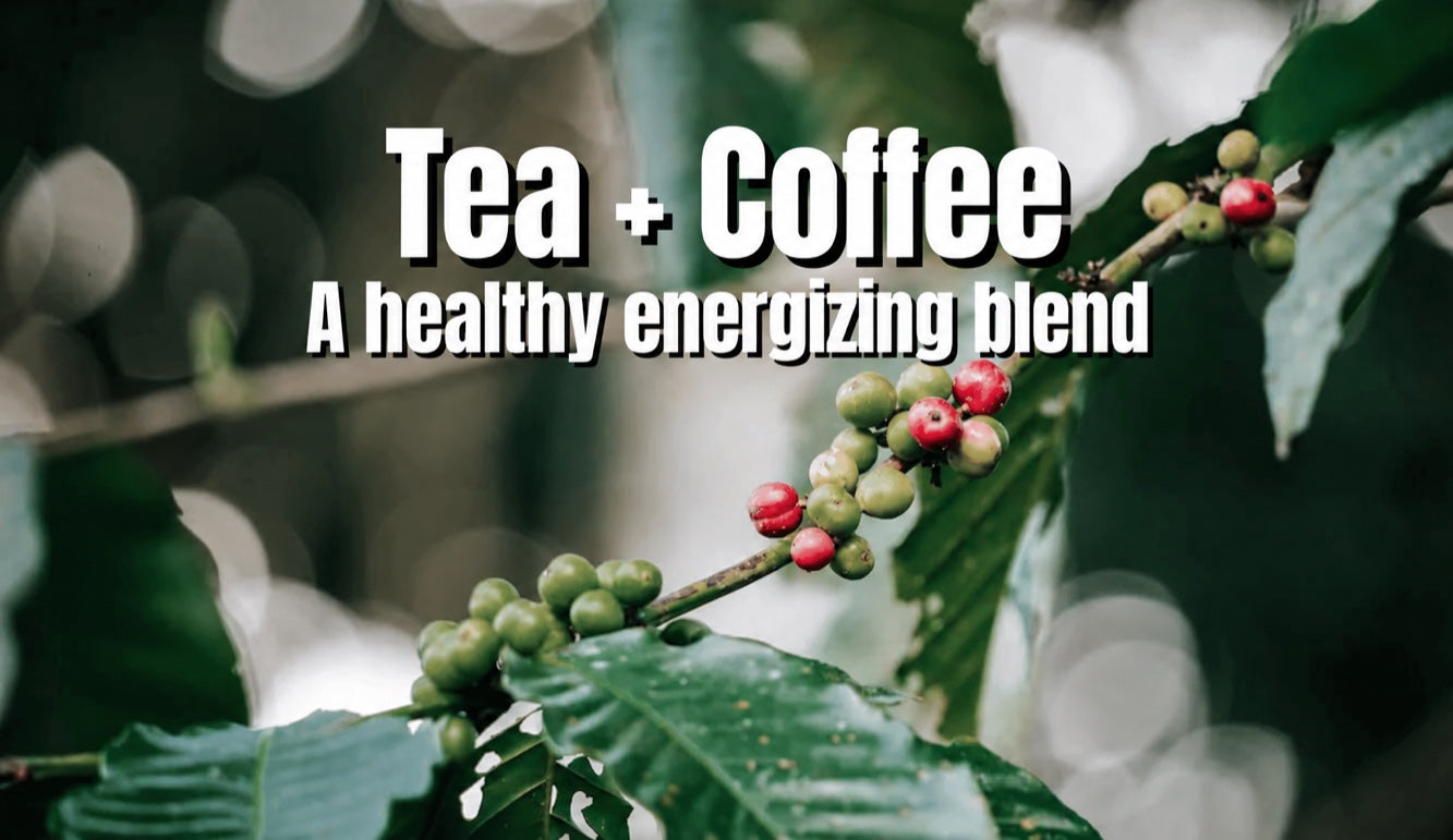 Tea and coffee: Guayusa and coffee as a healthy pick-me-up