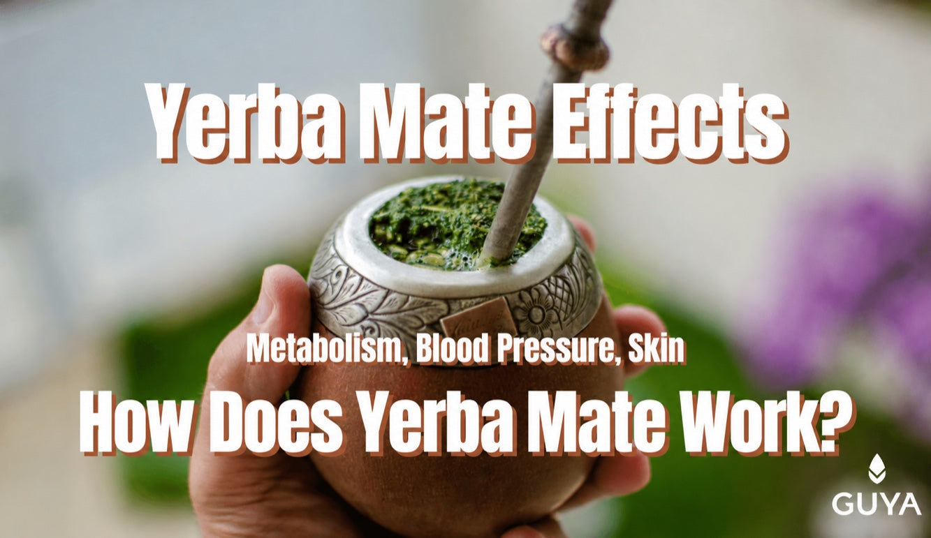 Yerba mate tea: effects on blood pressure, skin, weight and more