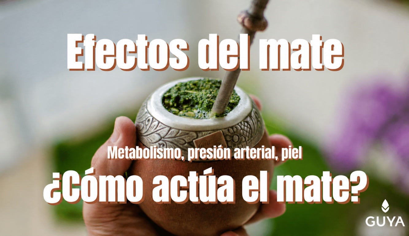 Té de yerba mate: efectos en la tensión arterial, la piel, el peso y más