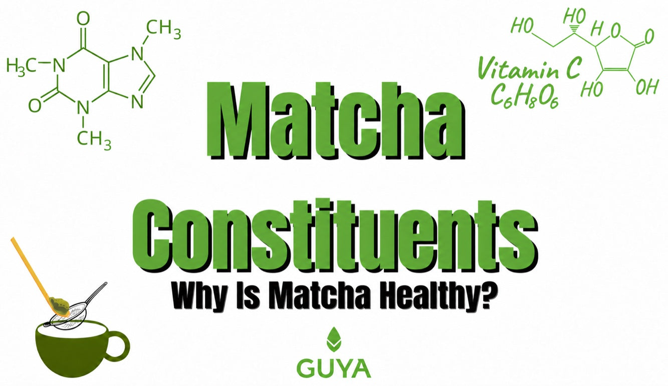 Matcha ingredients: what makes matcha healthy?