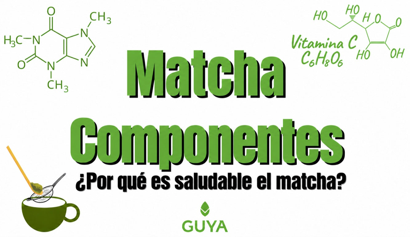 Componentes del matcha: ¿por qué se considera saludable?