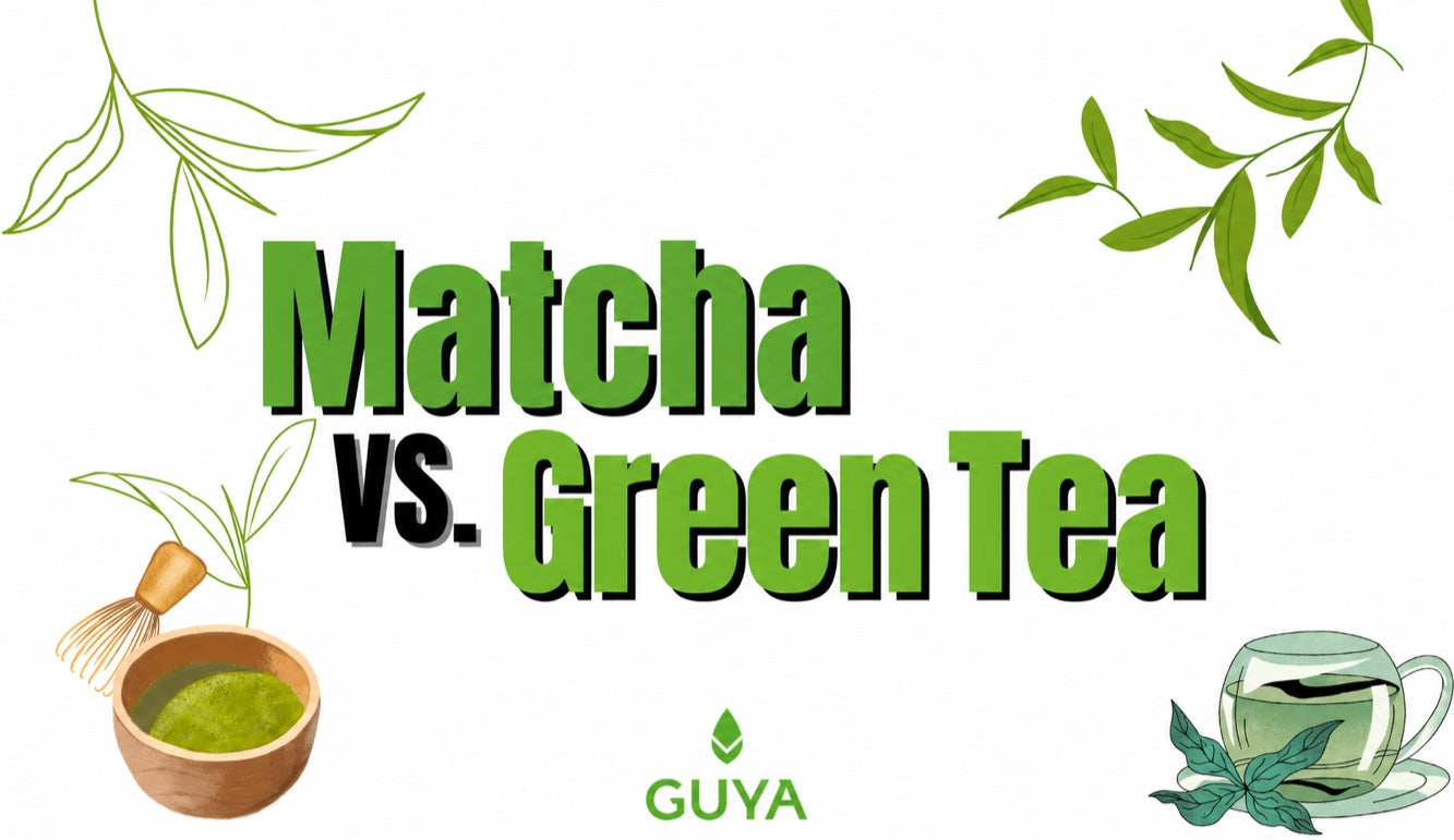 Matcha vs green tea: which will you choose?
