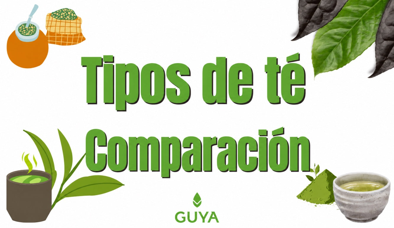 ¿Qué tés son saludables? Comparación de distintas variedades