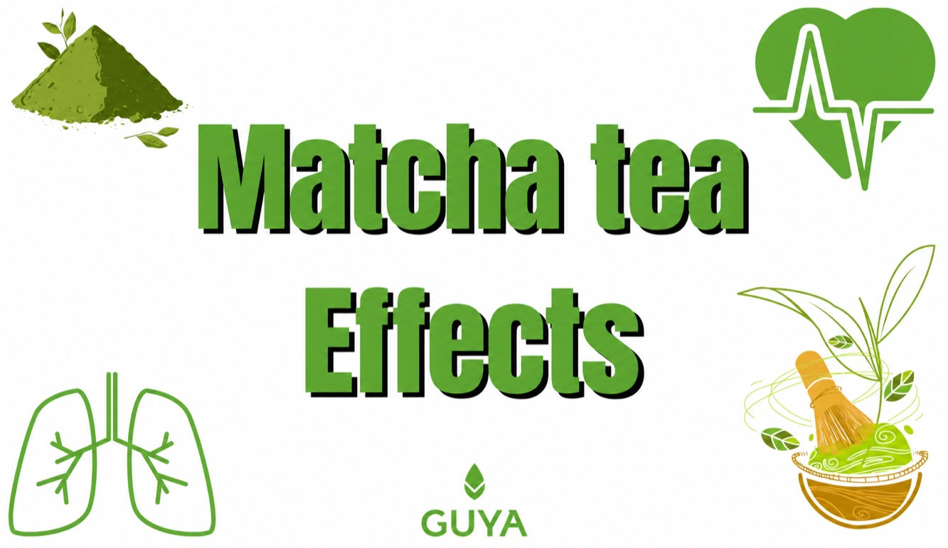 Matcha effects: ingredients and caffeine content