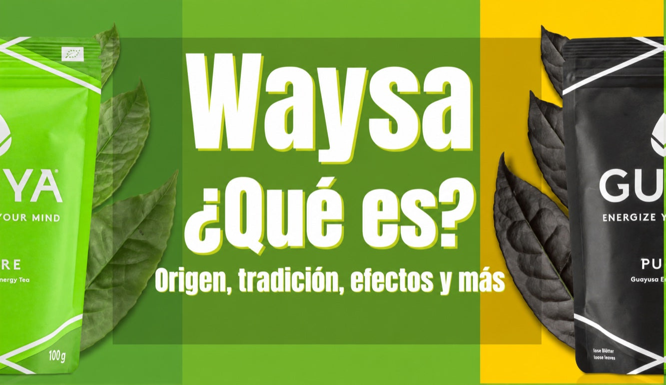 Waysa: ¿qué es? Origen, tradición, efectos y más