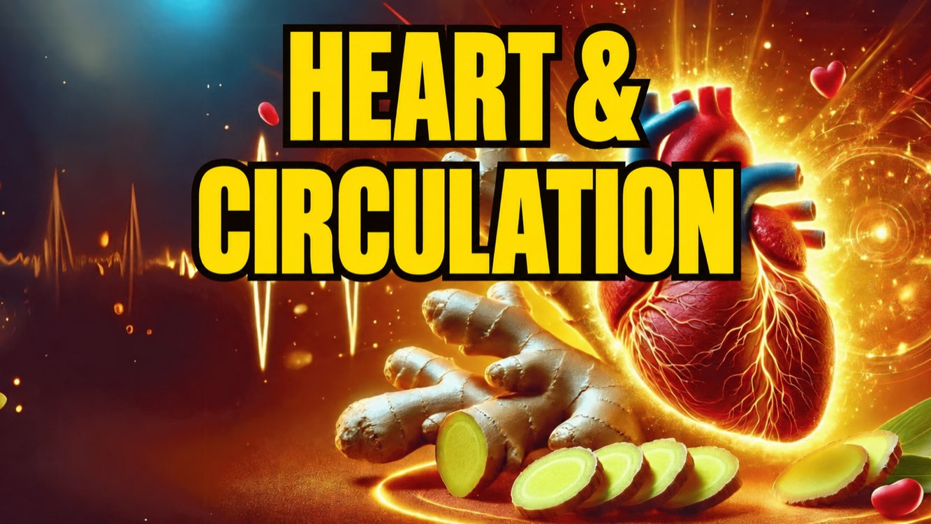 Ginger for the heart & blood pressure: effects on circulation