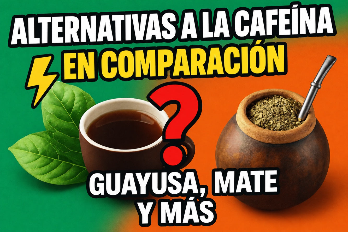 Comparativa de alternativas a la cafeína: guayusa, mate y más