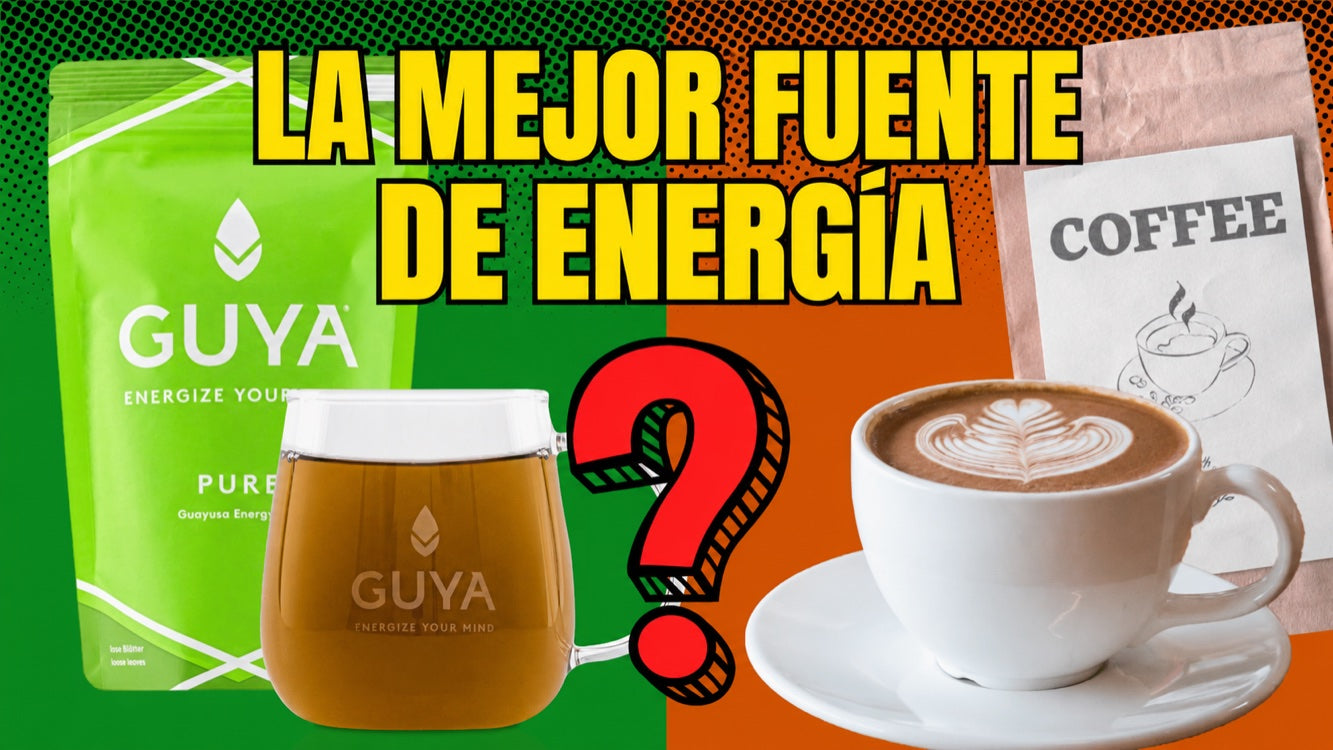 Guayusa frente al café: ¿cuál es mejor para activarte?