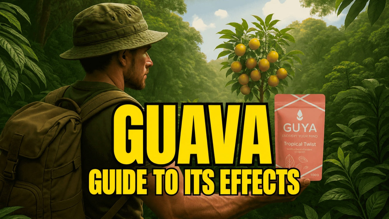 Guava: flavour, effects & tea – your guide to this tropical fruit