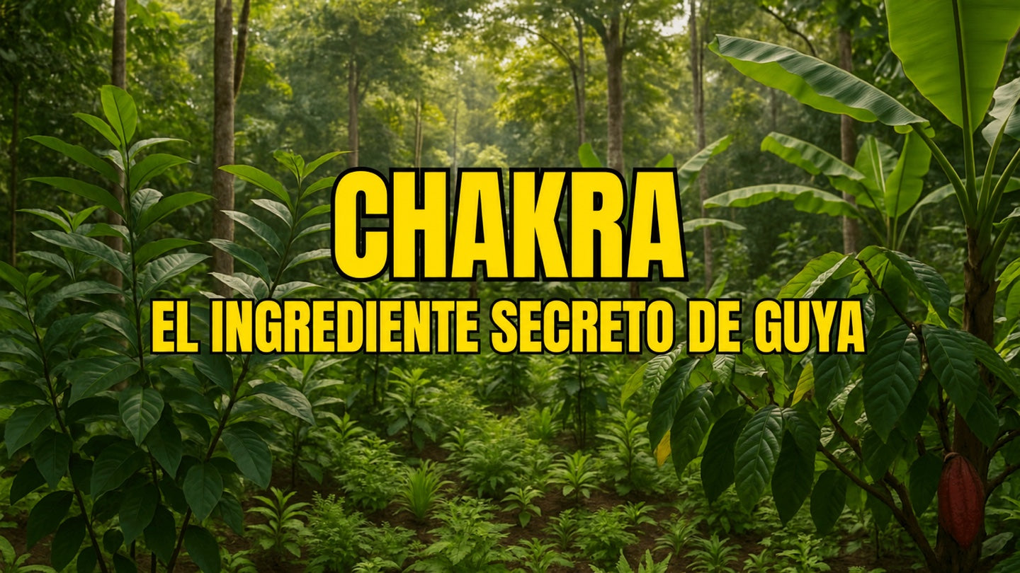 ¿Qué es un Chakra? El secreto de GUYA y la protección de la selva tropical