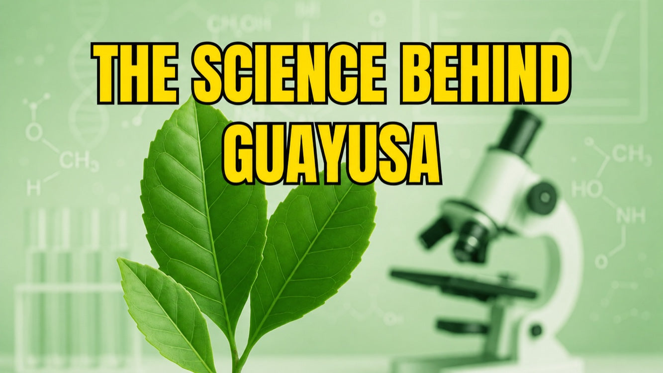 The science behind Guayusa: studies on this Amazonian superfood