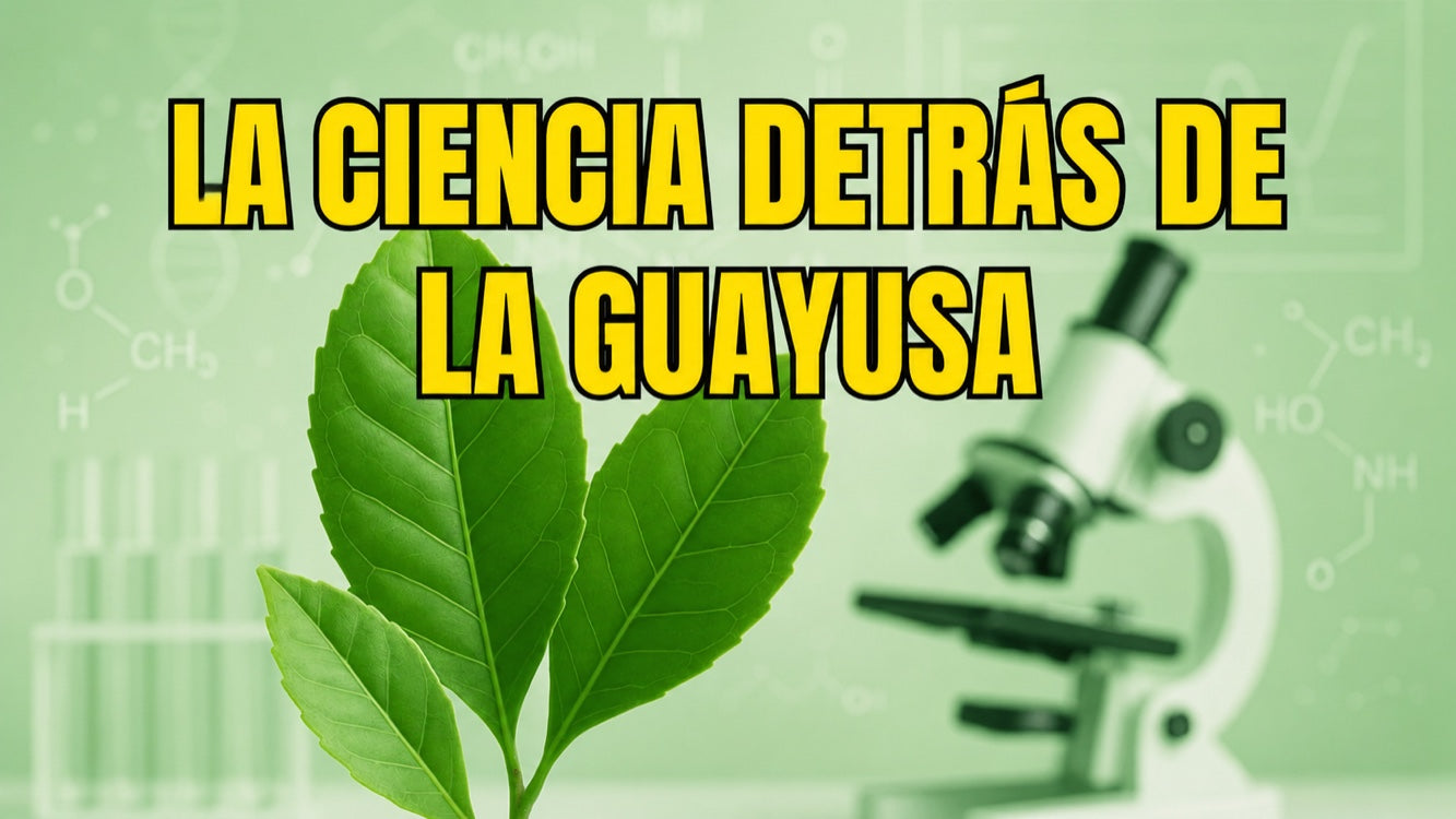 La ciencia detrás de la guayusa: estudios sobre este superalimento amazónico