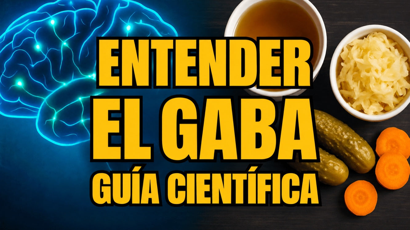 GABA: guía completa sobre sus efectos, la barrera hematoencefálica y los alimentos fermentados