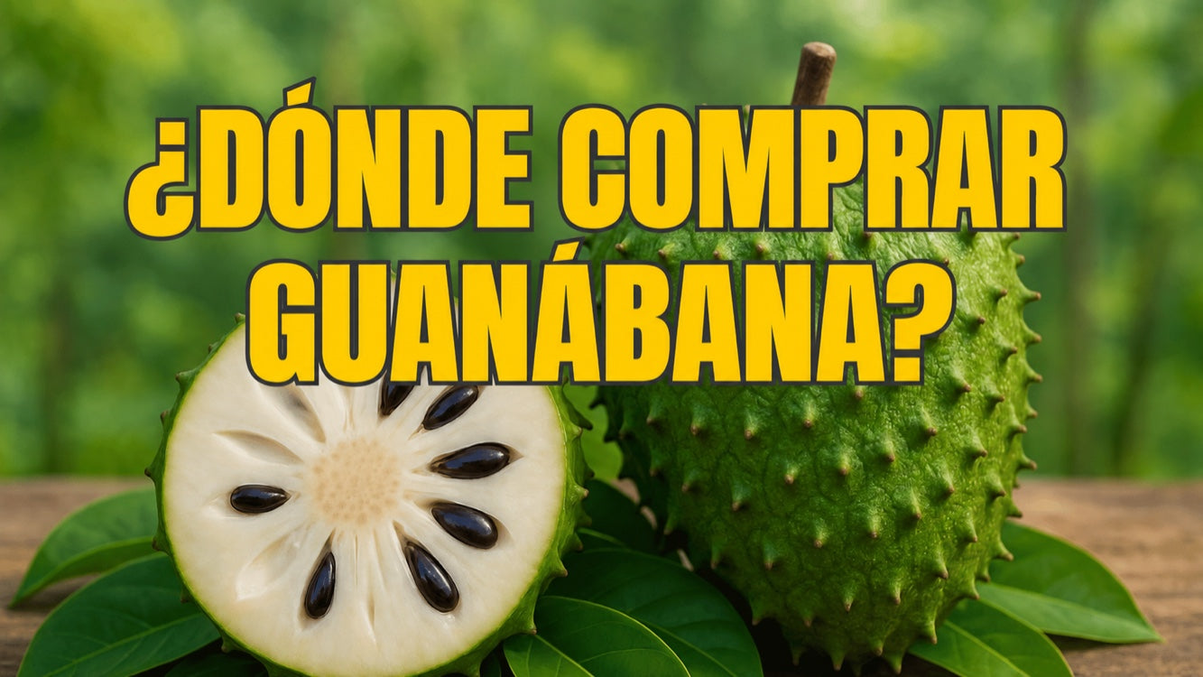 Comprar guanábana: guía completa para Alemania