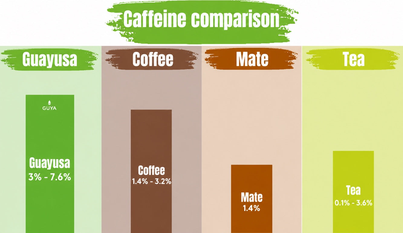 Guayusa caffeine content compared with mate, green and black tea