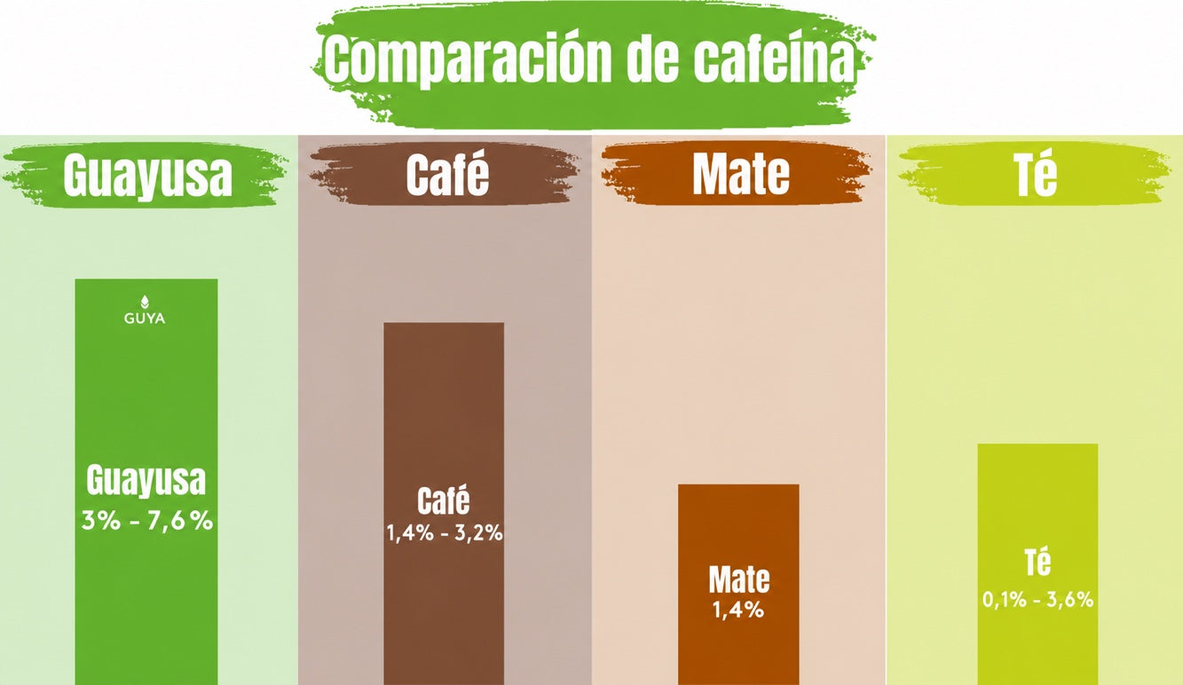 Contenido de cafeína de la guayusa frente al mate, el té verde y el negro