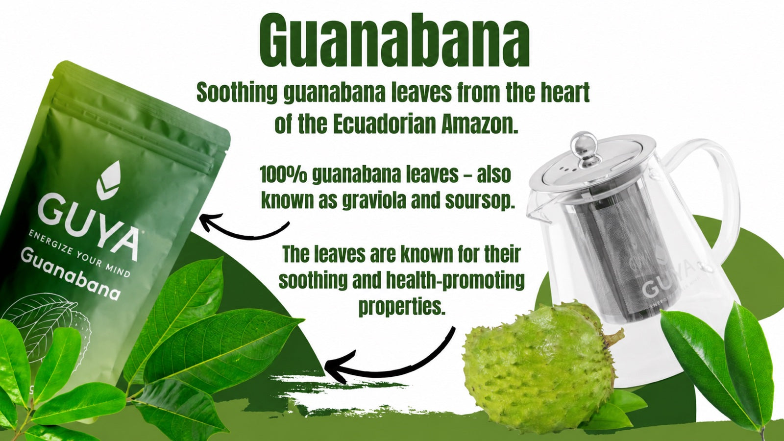Guanabana Leaf Tea (Soursop, Graviola)