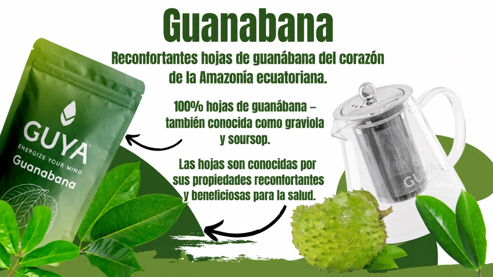 Infusión de hojas de guanábana (soursop, graviola)