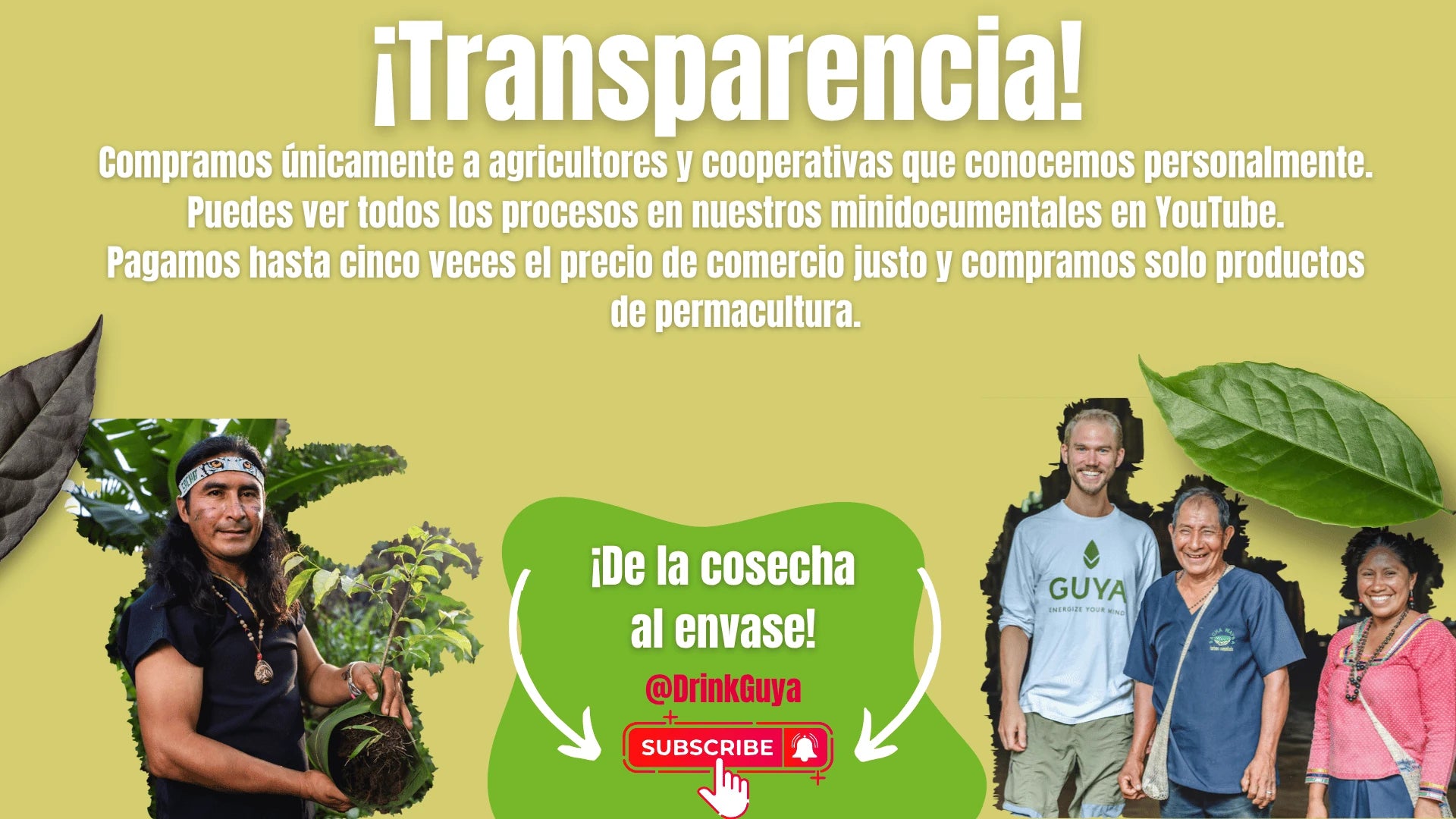 Transparencia GUYA: Nuestros agricultores, la permacultura y el camino de la cosecha al envase.