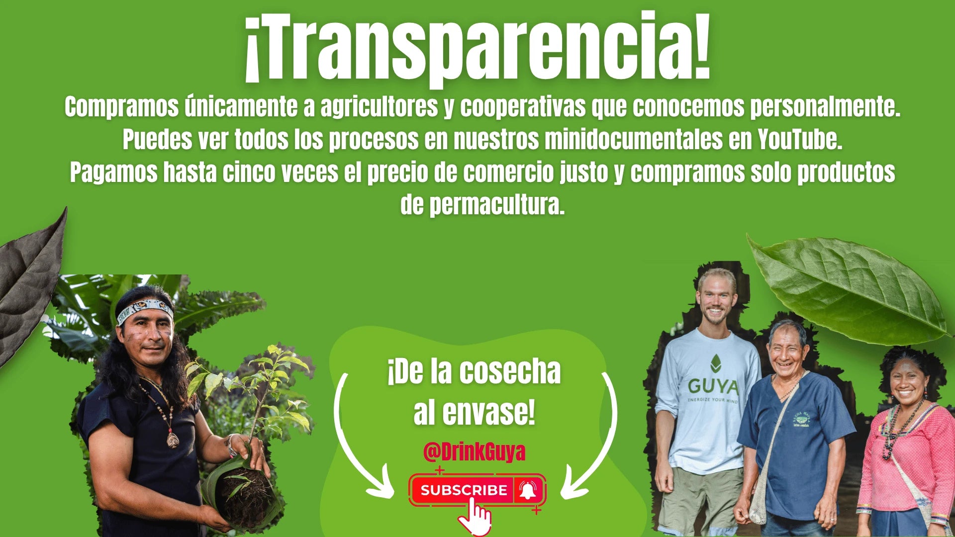 Transparencia GUYA: Nuestros agricultores, la permacultura y el camino de la cosecha al envase.