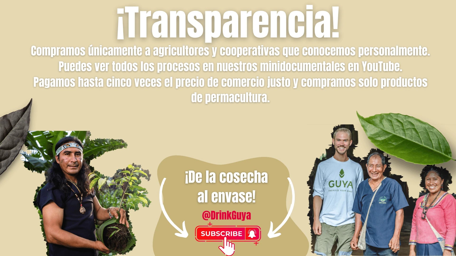 Transparencia GUYA: Nuestros agricultores, la permacultura y el camino de la cosecha al envase.