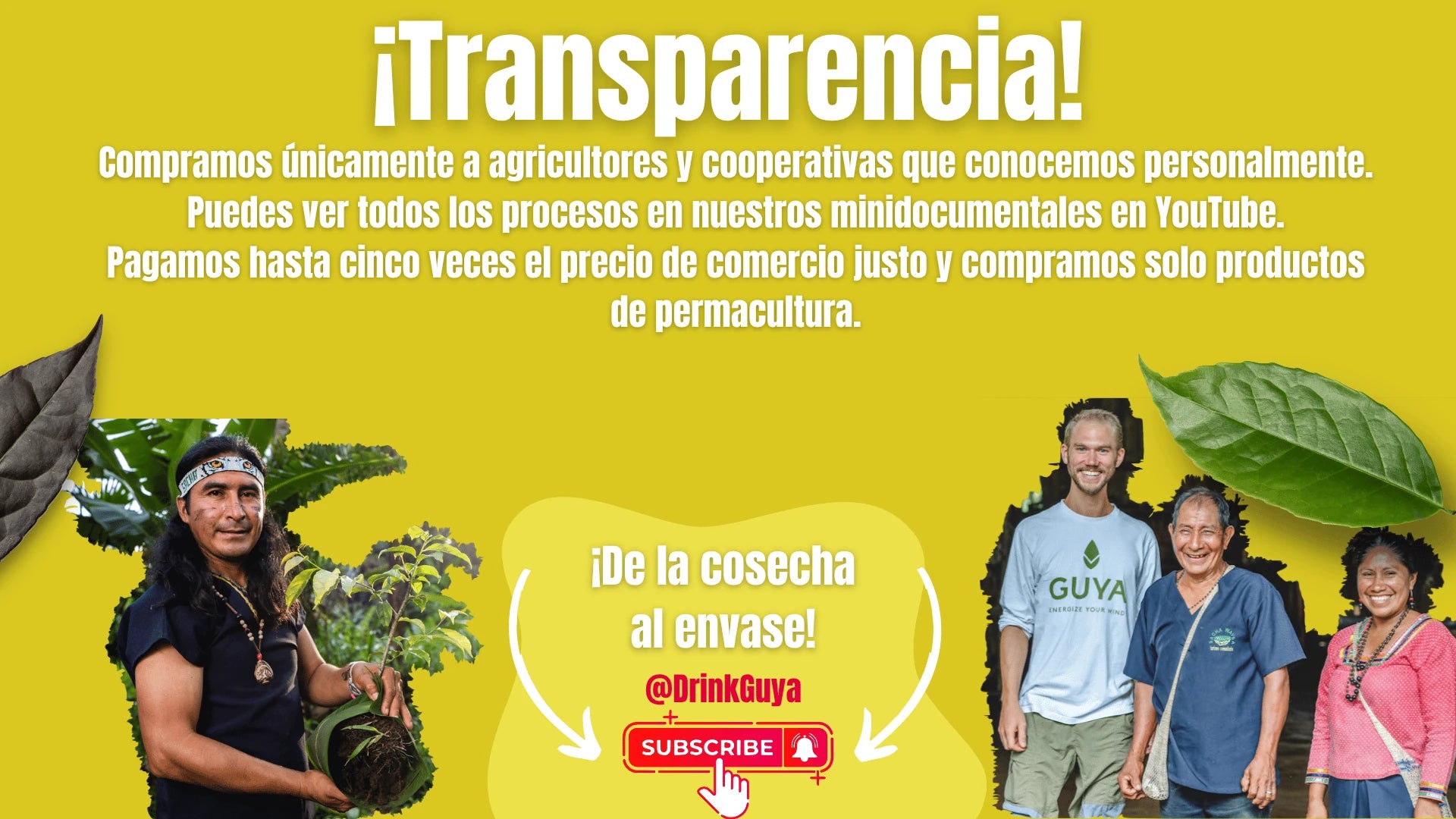 Transparencia GUYA: Nuestros agricultores, la permacultura y el camino de la cosecha al envase.