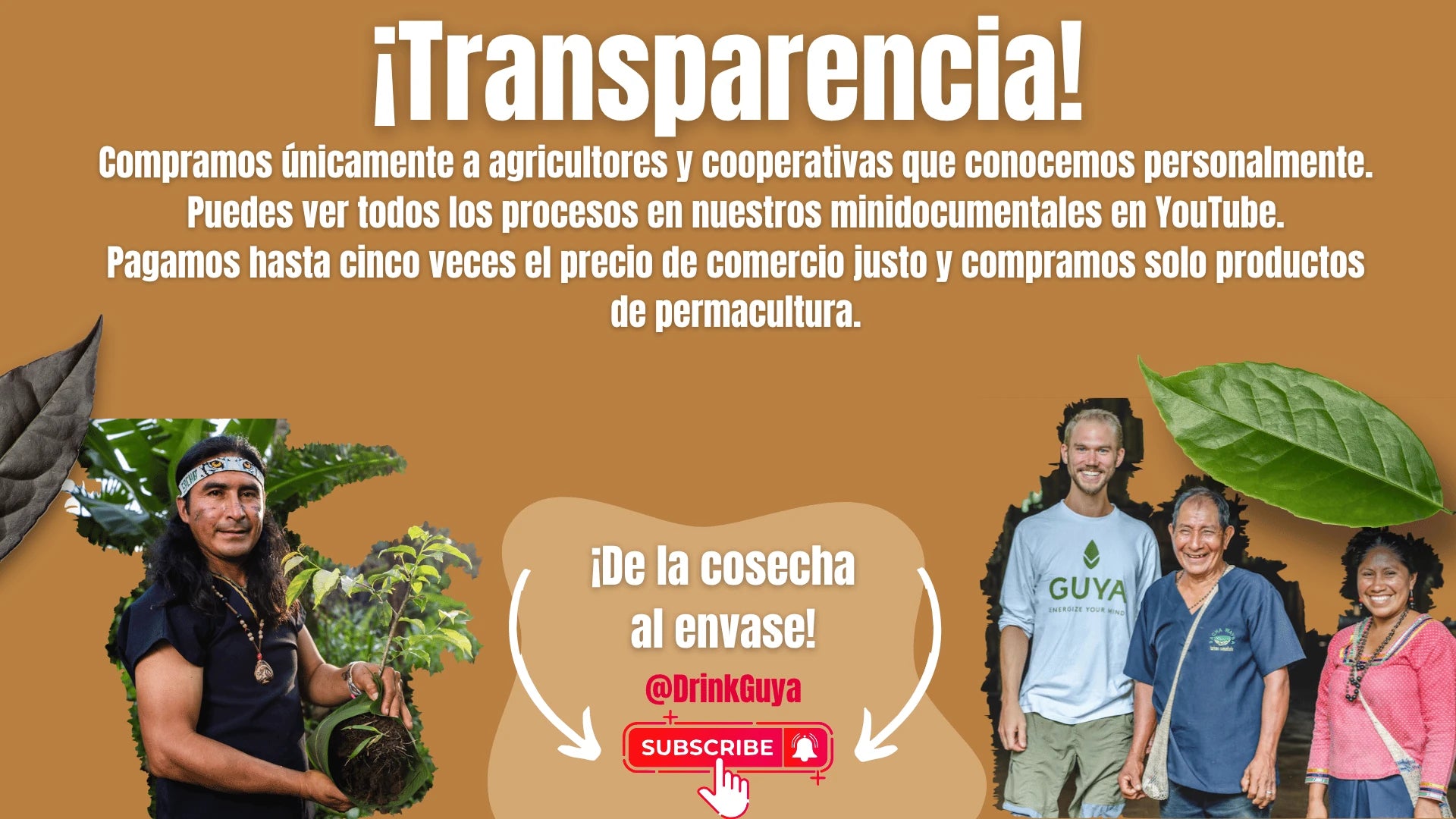 Transparencia GUYA: Nuestros agricultores, la permacultura y el camino de la cosecha al envase.