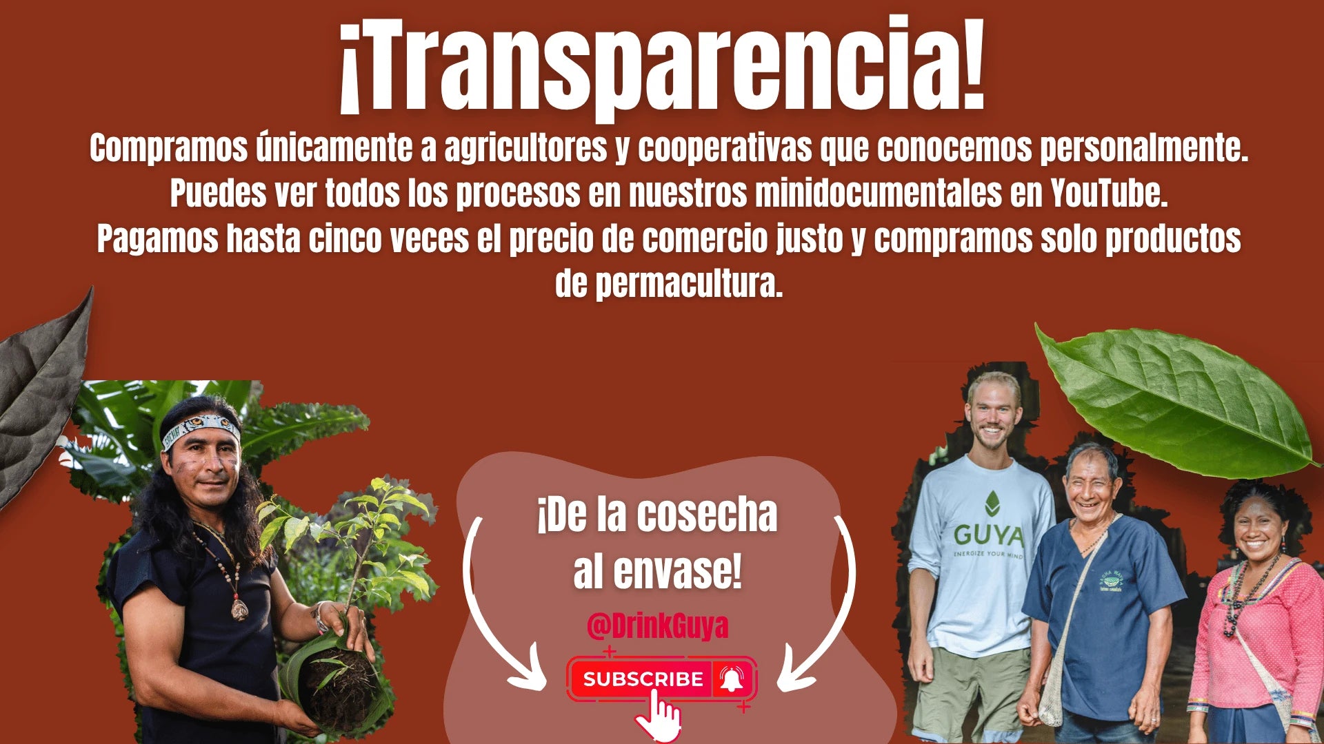 Transparencia GUYA: Nuestros agricultores, la permacultura y el camino de la cosecha al envase.