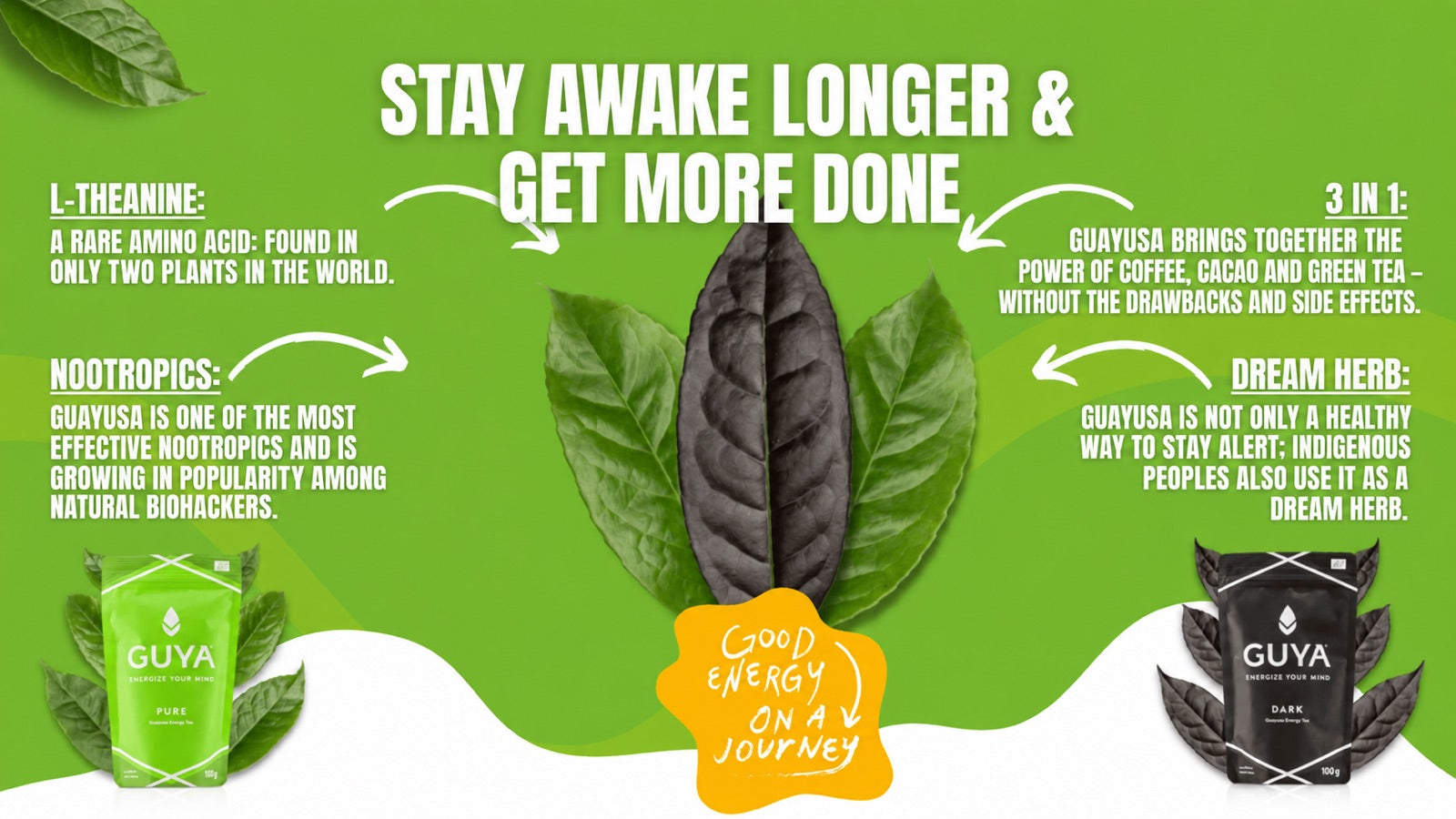 Guayusa at a glance: L-theanine, nootropics, plant compounds and traditional use.