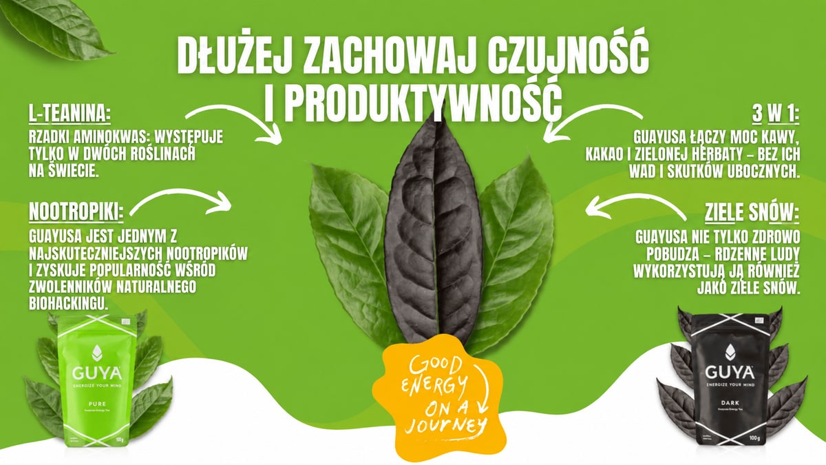 Guayusa w skrócie: L-teanina, nootropy, połączenie roślin i tradycyjne zastosowanie.