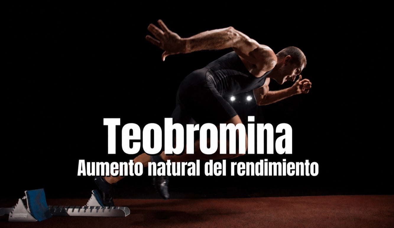 Teobromina: efectos, fuentes, usos y mejora del rendimiento