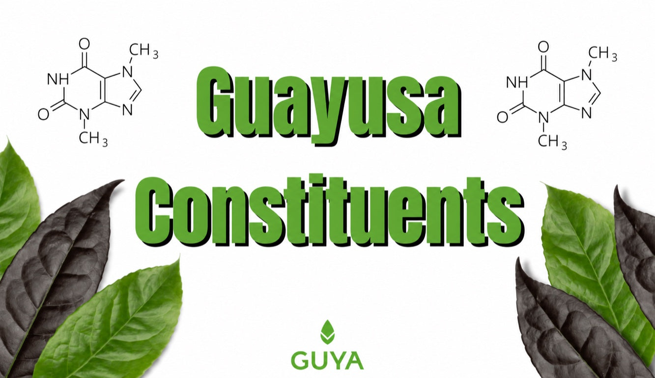 Guayusa ingredients that give you boundless energy!