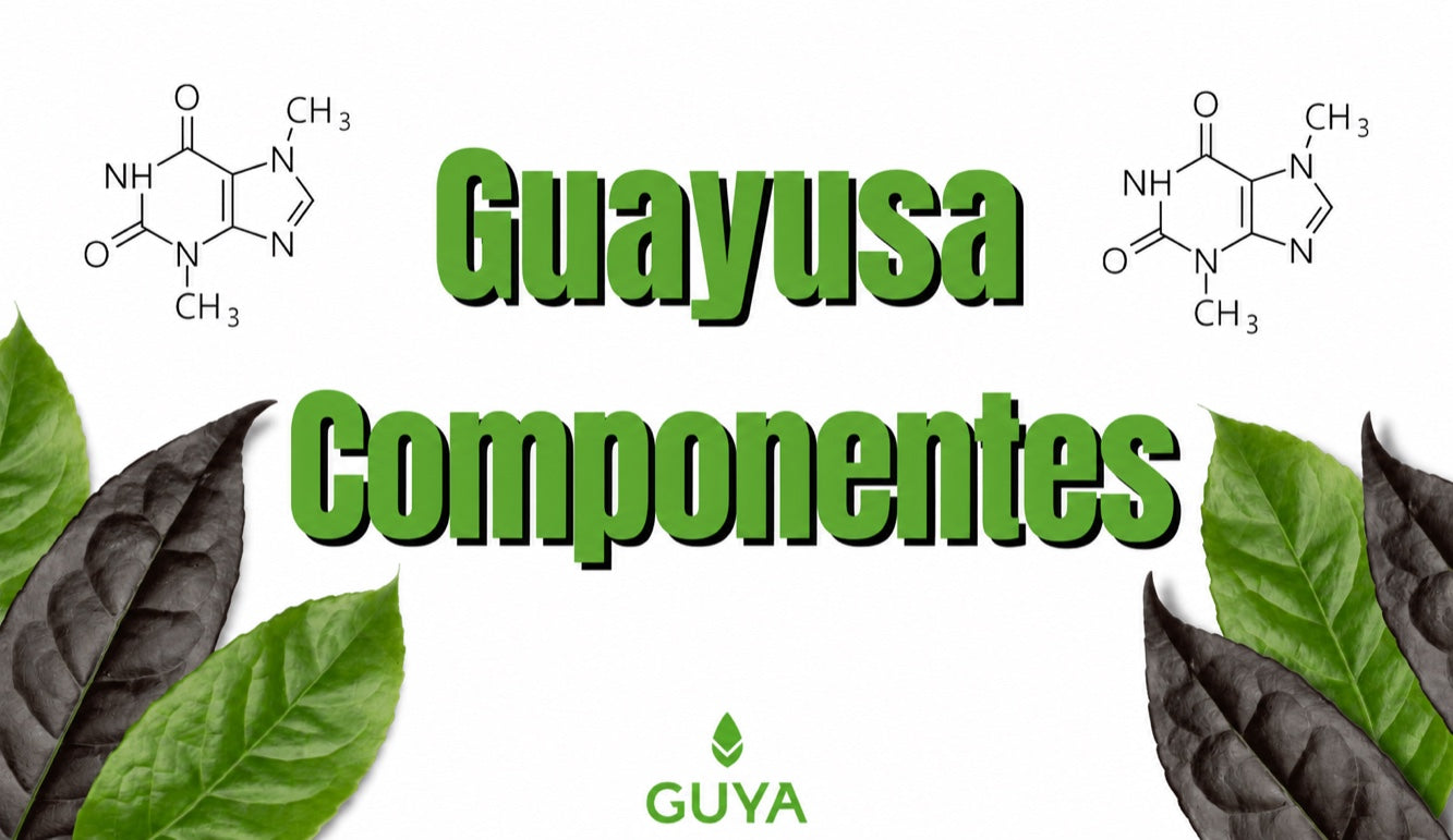 ¡Ingredientes de la guayusa que te aportan energía sin límites!