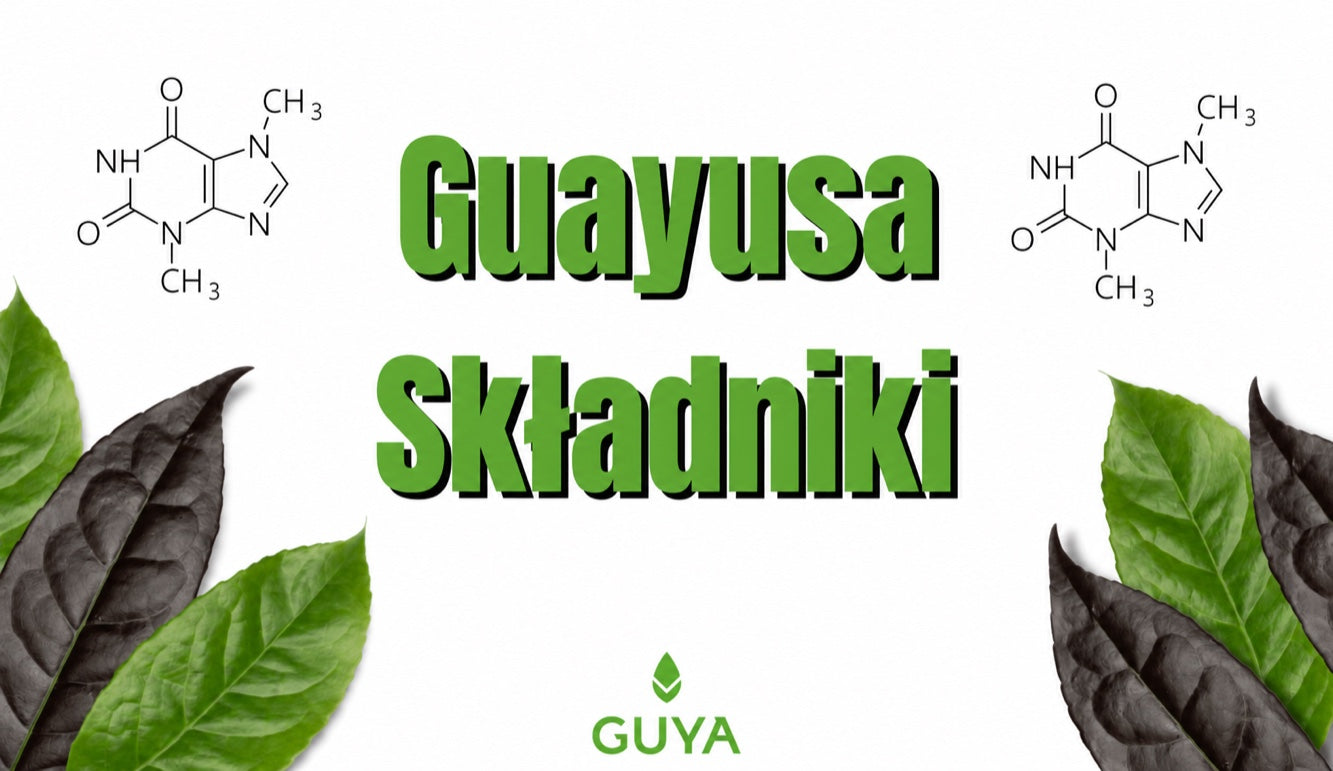 Składniki guayusy, które dają Ci energię bez granic!