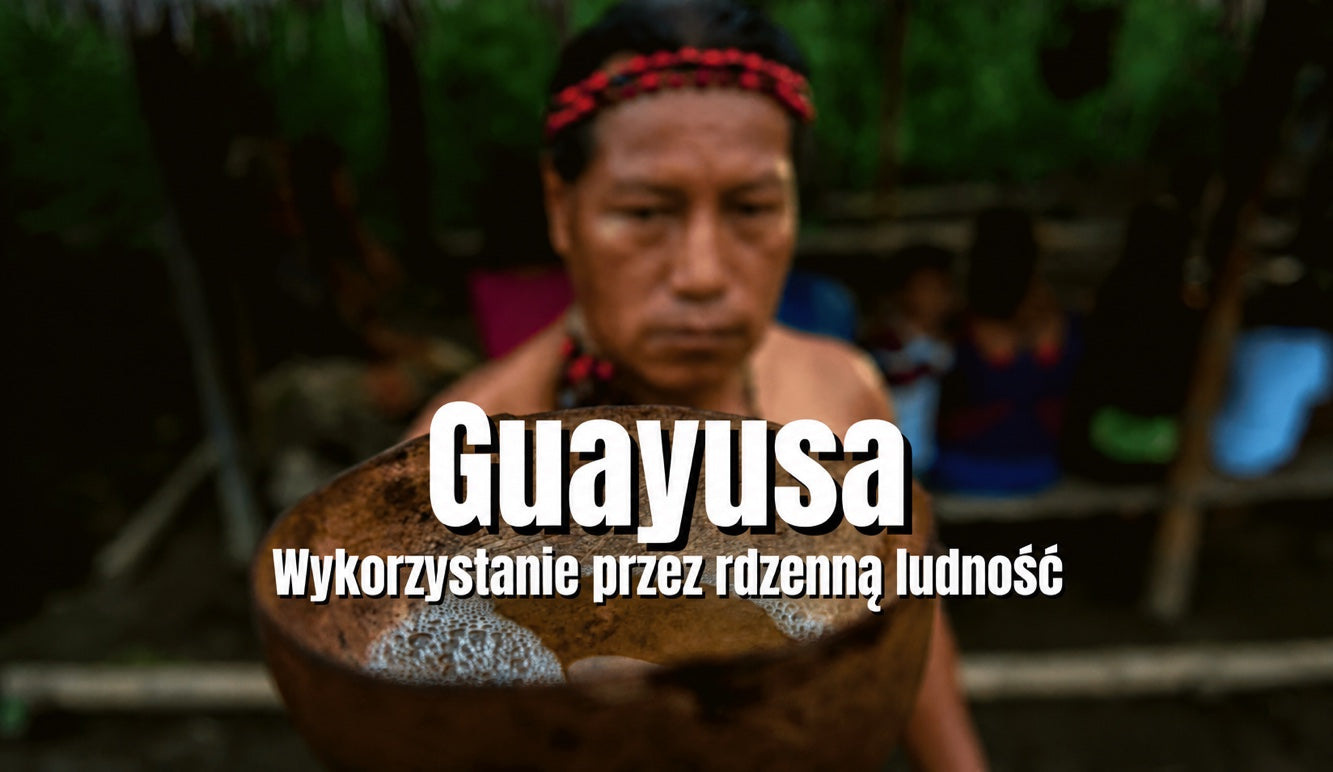 Jak rdzenni mieszkańcy wykorzystują guayusę