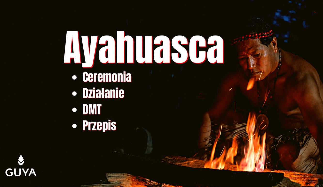 Ceremonia i retreat z ayahuascą — działanie, DMT i receptura